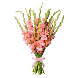 Coral Gladioli Bouquet