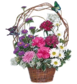 Garden Oasis Flower Basket