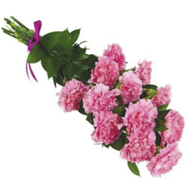 Cloud of Carnations Bouquet