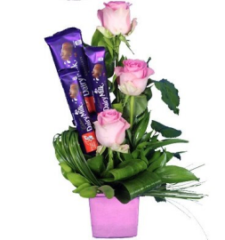 Pink Roses and Delights