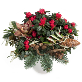 Showing That You Care