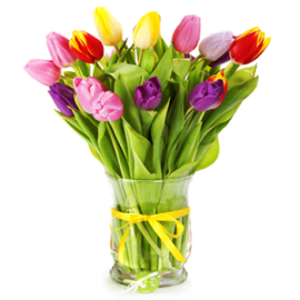Mixed Tulips