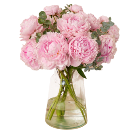 Parisian Blush Peony Bouquet
