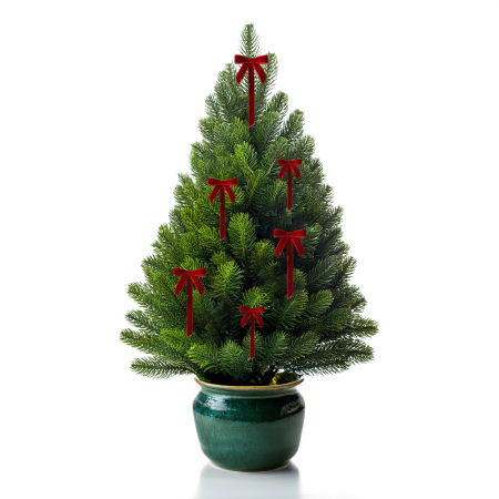 Mini Árvore de Natal