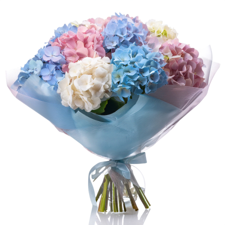 Buquê de hortênsias em tons pastel