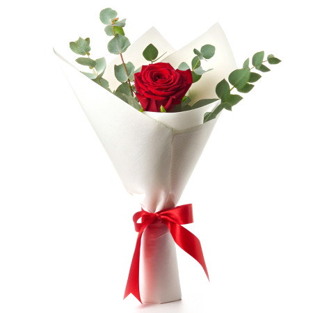 Elegância Rosa Escarlate