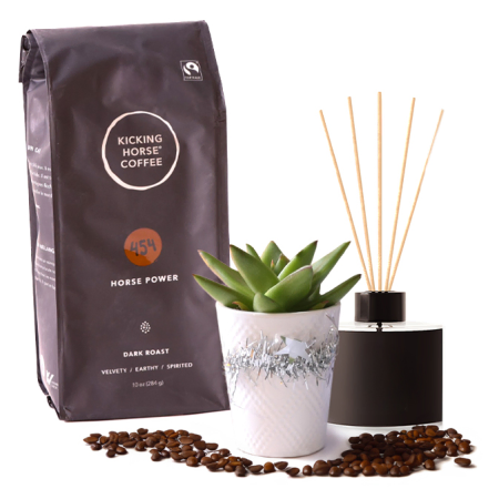 A Serenity Coffee Brew (A Serenidade do Café)