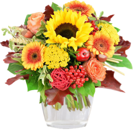 Celebração do Girassol Dourado