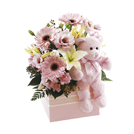 Billowing Nuvens com Urso