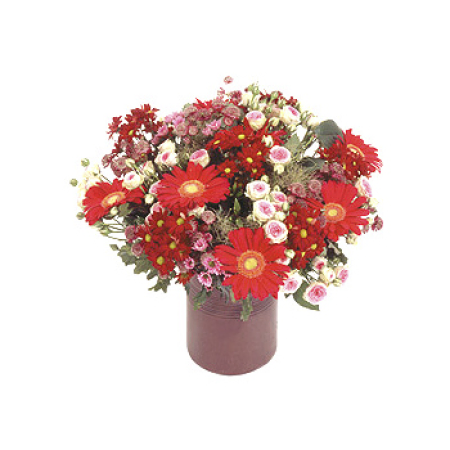 Fogos de artifício capturados