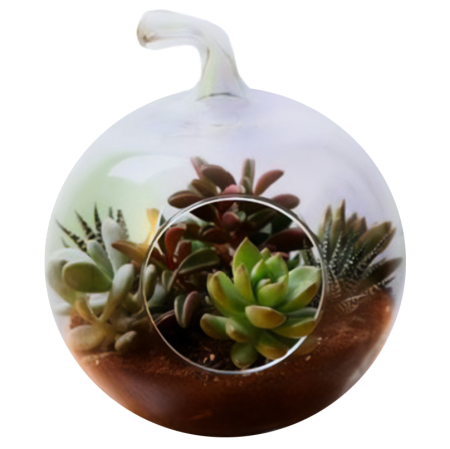 Terrário Oásis no Deserto